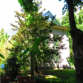 ELTE Füvészkert Budapest - Egyéb