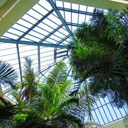 ELTE Füvészkert Budapest - Egyéb