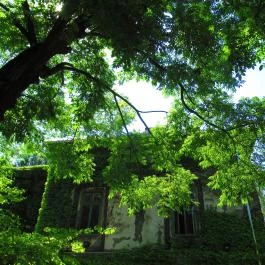 ELTE Füvészkert Budapest - Egyéb