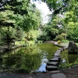 ELTE Füvészkert Budapest - Egyéb