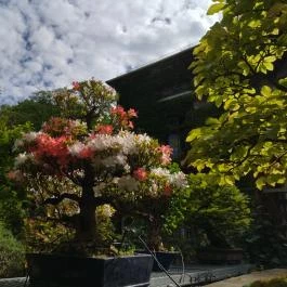 ELTE Füvészkert Budapest - Egyéb