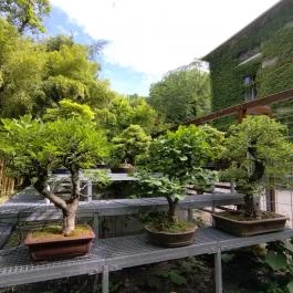 ELTE Füvészkert Budapest - Egyéb