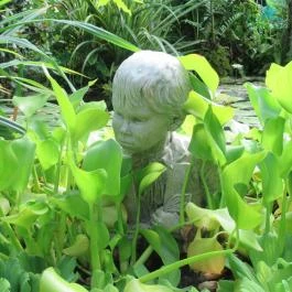 ELTE Füvészkert Budapest - Egyéb