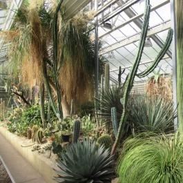 ELTE Füvészkert Budapest - Egyéb