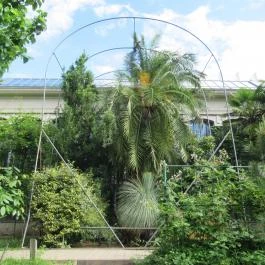 ELTE Füvészkert Budapest - Egyéb