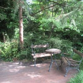 ELTE Füvészkert Budapest - Egyéb