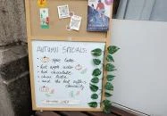 Epizód Café Budapest