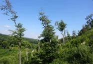 Eplényi Libegő Eplény