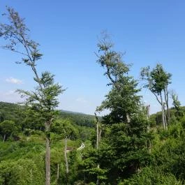 Eplényi Libegő, Eplény - 