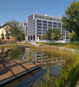 Erdei Fagyizó Vizafogó