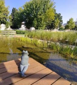 Erdei Fagyizó Vizafogó