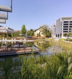 Erdei Fagyizó Vizafogó