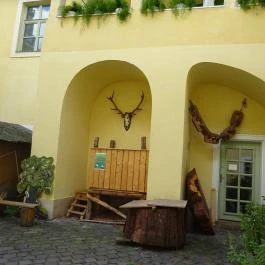 Erdészeti,- Faipari és Földméréstörténeti Gyűjtemény Sopron - Egyéb