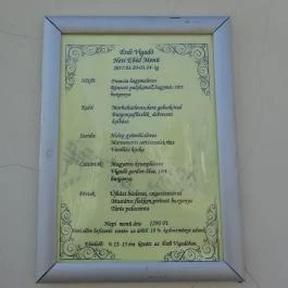 Érdi Vigadó Étterem & Kávézó, Érd - Egyéb
