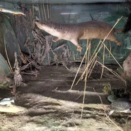 Erdős Renée-Ház - Muzeális Gyűjtemény és Kiállítóterem Budapest - Egyéb