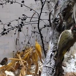 Erdős Renée-Ház - Muzeális Gyűjtemény és Kiállítóterem Budapest - Egyéb