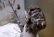 Erdős Renée-Ház - Muzeális Gyűjtemény és Kiállítóterem Budapest