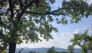 Eremény-tető Gyöngyössolymos - Külső kép