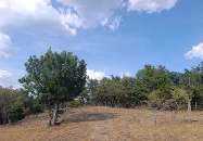 Eremény-tető Gyöngyössolymos