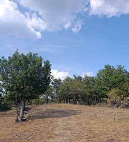 Eremény-tető