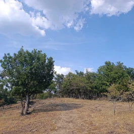 Eremény-tető Gyöngyössolymos - Külső kép
