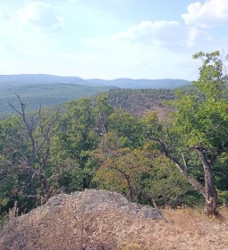 Eremény-tető