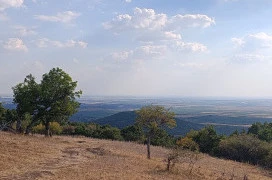 Eremény-tető Gyöngyössolymos
