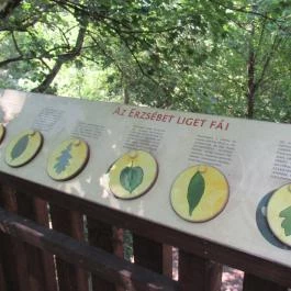 Erzsébet Ligeti Lombkorona Sétány & Kilátó, Gyomaendrőd - 