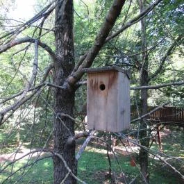 Erzsébet Ligeti Lombkorona Sétány & Kilátó, Gyomaendrőd - 