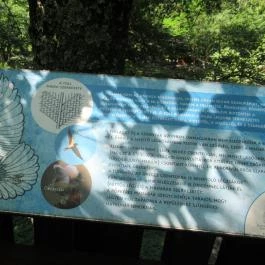 Erzsébet Ligeti Lombkorona Sétány & Kilátó, Gyomaendrőd - 