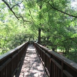 Erzsébet Ligeti Lombkorona Sétány & Kilátó, Gyomaendrőd - 