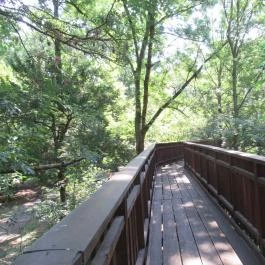 Erzsébet Ligeti Lombkorona Sétány & Kilátó, Gyomaendrőd - 