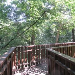 Erzsébet Ligeti Lombkorona Sétány & Kilátó, Gyomaendrőd - 