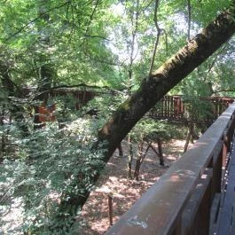 Erzsébet Ligeti Lombkorona Sétány & Kilátó, Gyomaendrőd - 