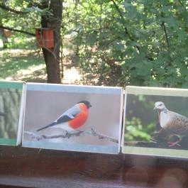 Erzsébet Ligeti Lombkorona Sétány & Kilátó, Gyomaendrőd - 