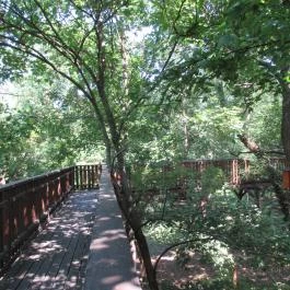 Erzsébet Ligeti Lombkorona Sétány & Kilátó, Gyomaendrőd - 