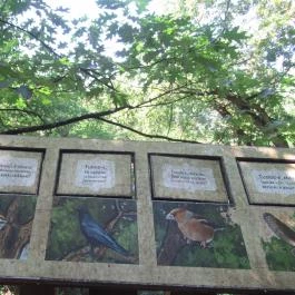 Erzsébet Ligeti Lombkorona Sétány & Kilátó, Gyomaendrőd - 