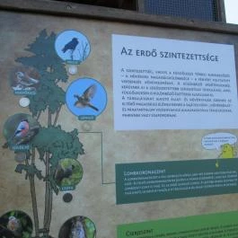 Erzsébet Ligeti Lombkorona Sétány & Kilátó, Gyomaendrőd - 