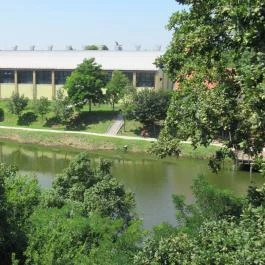 Erzsébet Ligeti Lombkorona Sétány & Kilátó, Gyomaendrőd - 