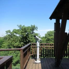 Erzsébet Ligeti Lombkorona Sétány & Kilátó, Gyomaendrőd - 