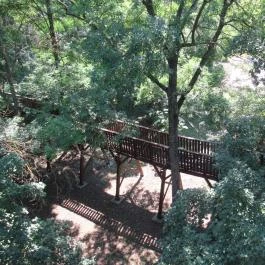 Erzsébet Ligeti Lombkorona Sétány & Kilátó, Gyomaendrőd - 