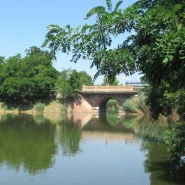 Erzsébet Ligeti Lombkorona Sétány & Kilátó, Gyomaendrőd - 