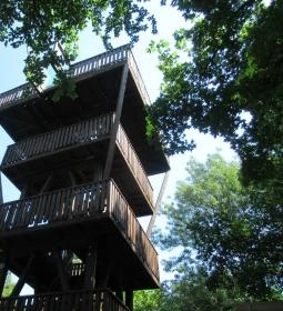 Erzsébet ligeti Lombkorona Sétány és Kilátó