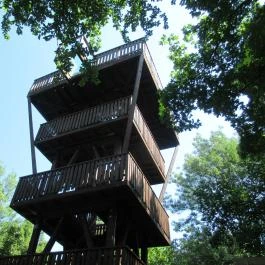 Erzsébet ligeti Lombkorona Sétány és Kilátó Gyomaendrőd - Egyéb