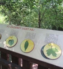 Erzsébet ligeti Lombkorona Sétány és Kilátó