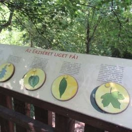 Erzsébet ligeti Lombkorona Sétány és Kilátó Gyomaendrőd - Egyéb