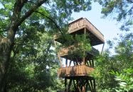 Erzsébet ligeti Lombkorona Sétány és Kilátó Gyomaendrőd