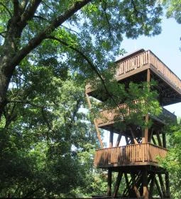 Erzsébet ligeti Lombkorona Sétány és Kilátó