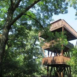 Erzsébet ligeti Lombkorona Sétány és Kilátó Gyomaendrőd - Egyéb