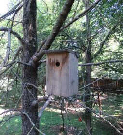 Erzsébet ligeti Lombkorona Sétány és Kilátó